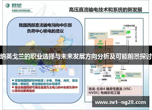 纳英戈兰的职业选择与未来发展方向分析及可能前景探讨