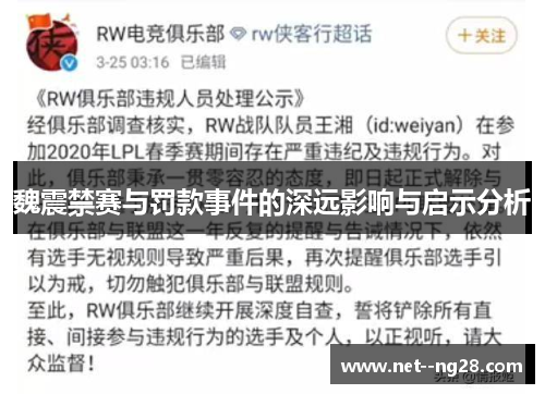魏震禁赛与罚款事件的深远影响与启示分析